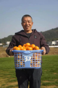 湘潭农产品小程序:线上购物便捷成主流
