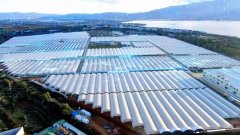 改变靠天吃饭,佳沃10年用数智化重塑现代农业